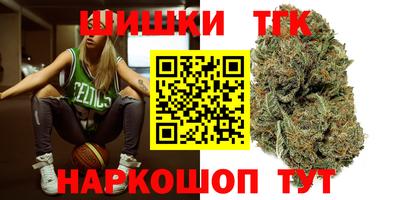 мдпв Гатчина