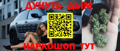 мдпв Гатчина