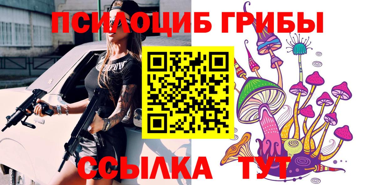 Заводоуковск  Псилоцибиновые грибы ЛСД  Вход с VPN 