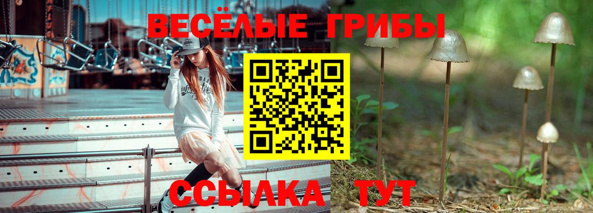 Галлюциногенные грибы ЛСД  Заводоуковск 