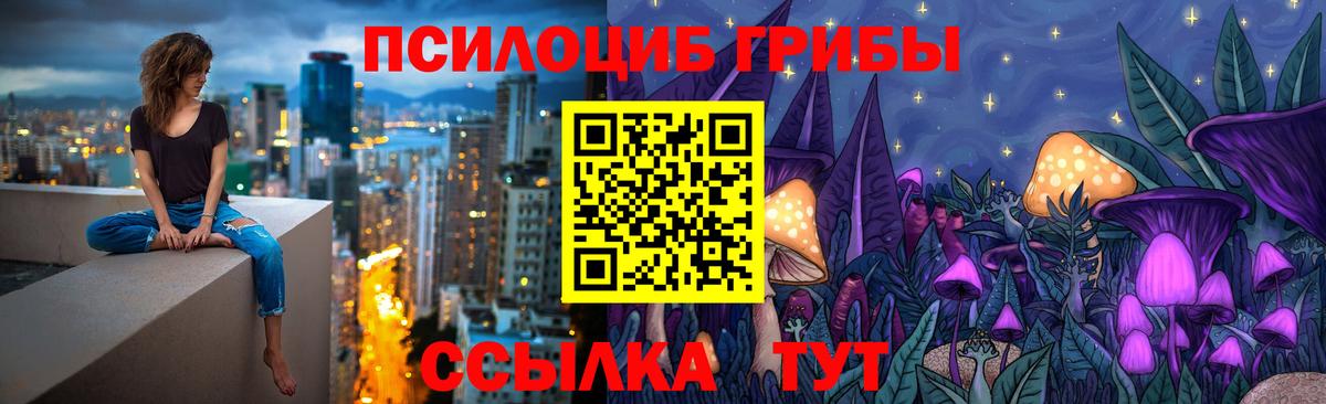 Галлюциногенные грибы GOLDEN TEACHER Заводоуковск